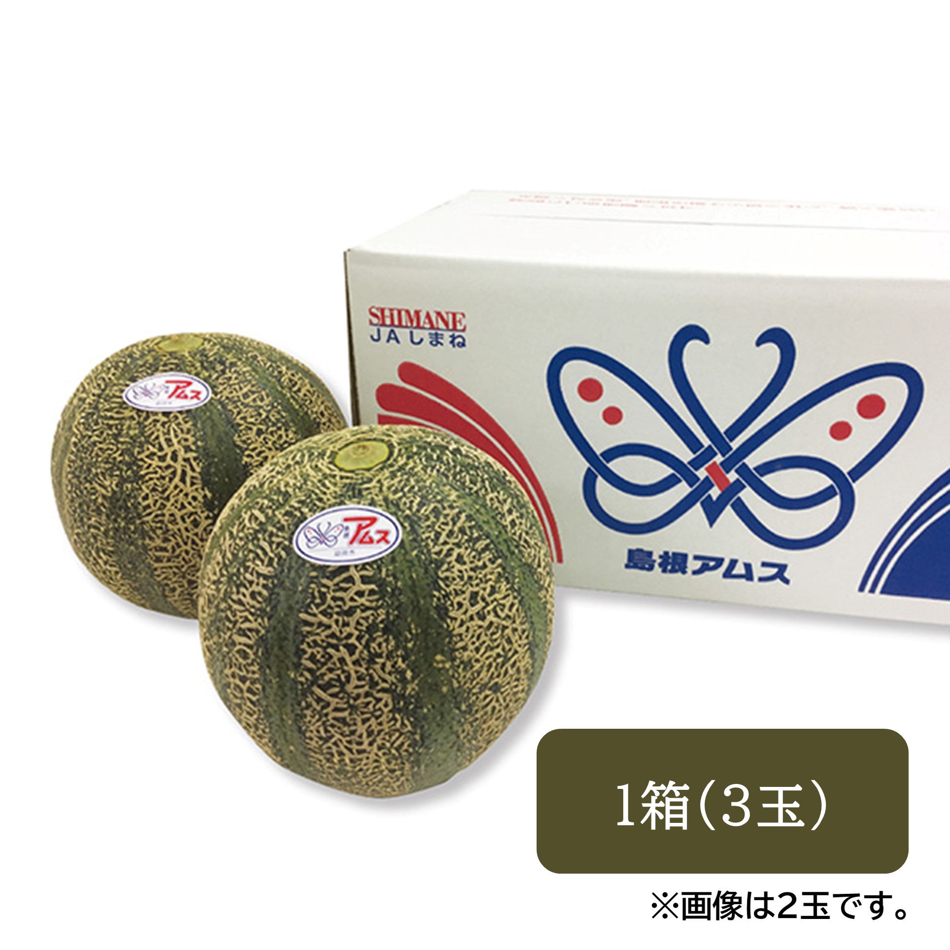 [島根県産] アムスメロン 1箱 (3玉)【425980】【夏ギフト★】 商品サムネイル